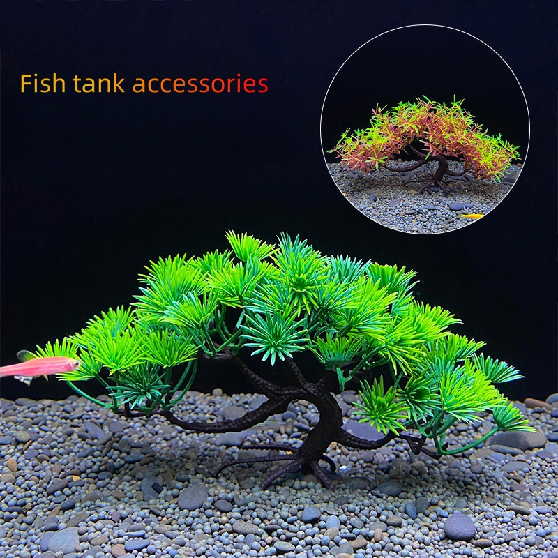 Аквариумное дерево бонсай, рас – обзор и цена Aquarium Planted Seeds