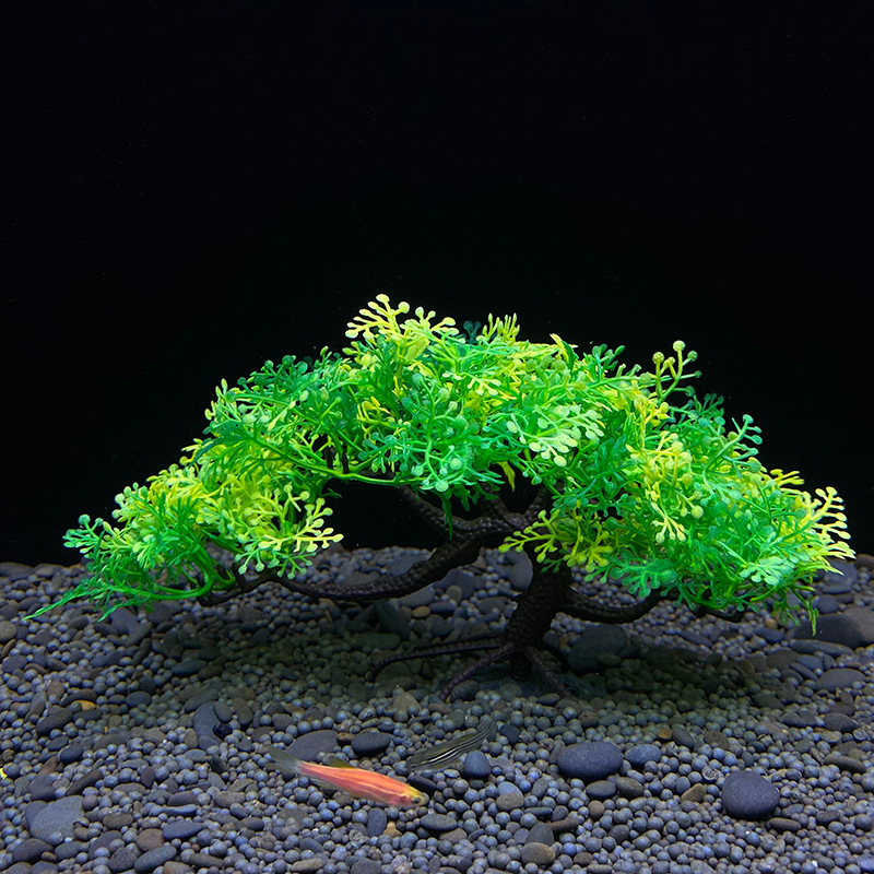 Аквариумное дерево бонсай, рас – обзор и цена Aquarium Planted Seeds