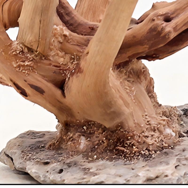 1 шт. аквариум, ландшафтные де – обзор и цена Aquarium Plant Roots