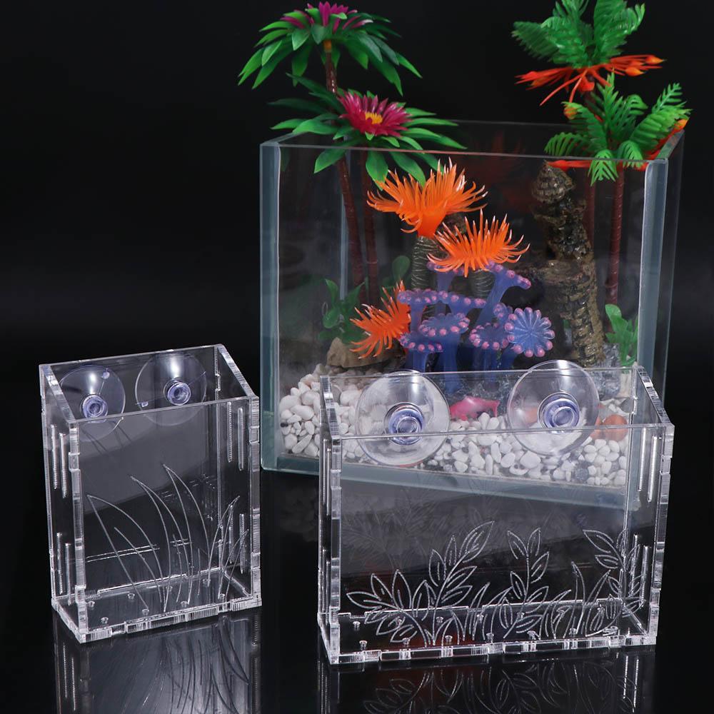Настенный аквариумный стаканчи – обзор и цена Aquarium Planted Wall