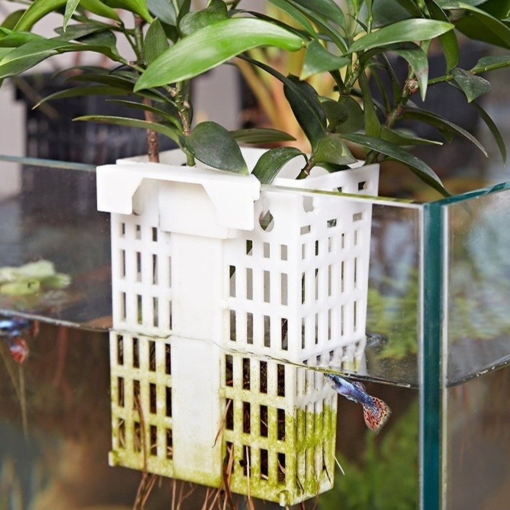 Настенный держатель для аквари – обзор и цена Aquarium Planted Wall
