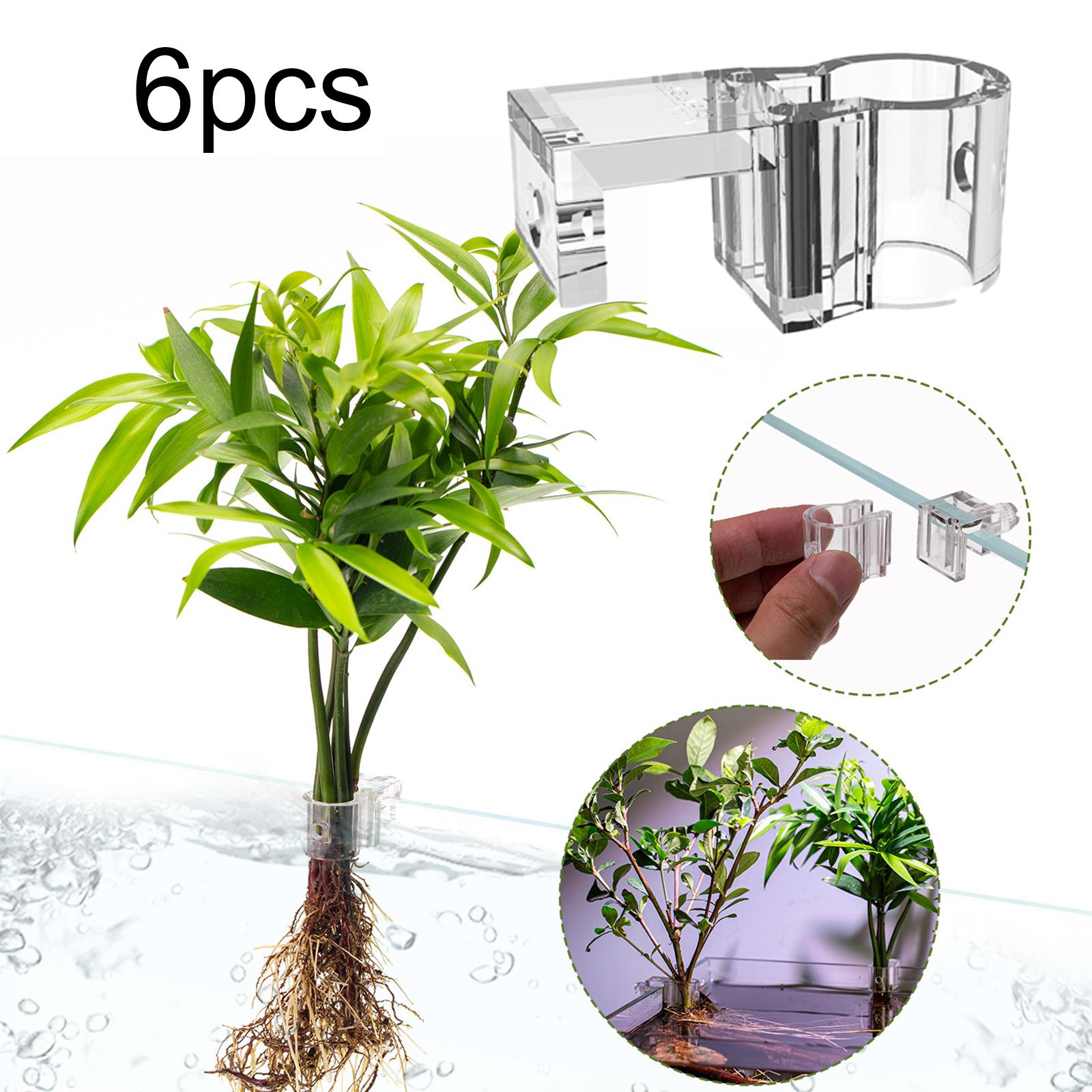 Прочный прозрачный держатель д – обзор и цена Aquarium Planted Wall