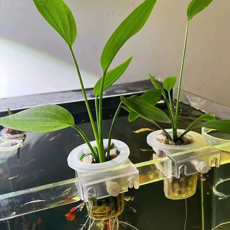 Корзина для посадки аквариума, – обзор и цена Aquarium Planted Wall