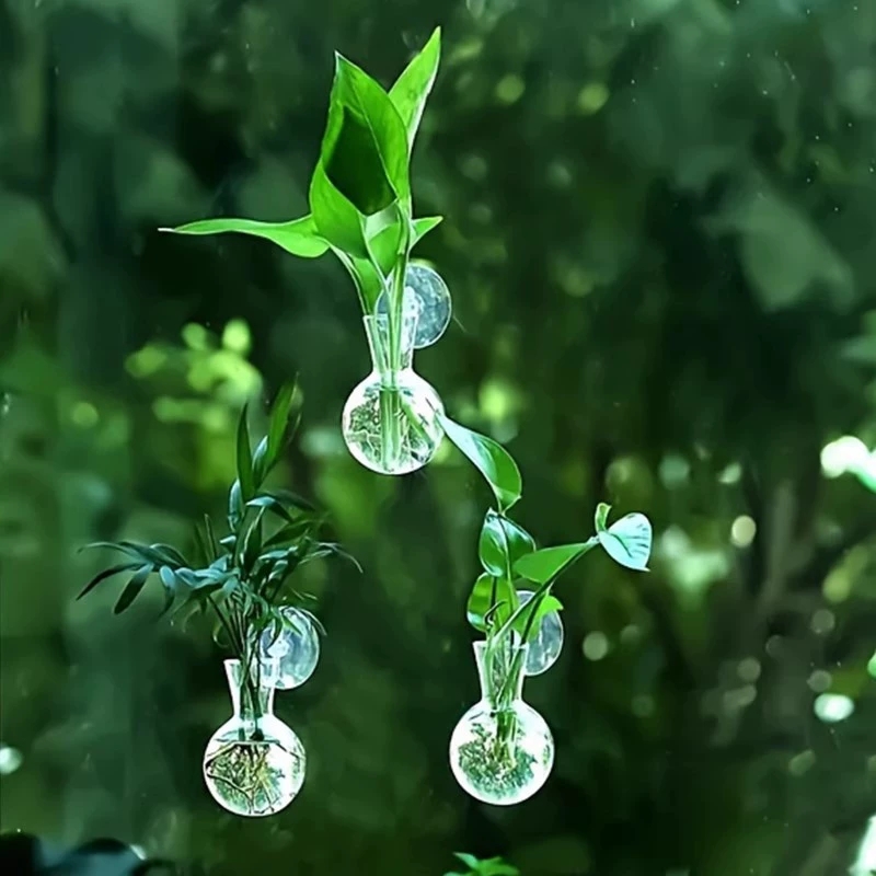 Креативная полукруглая настенн – обзор и цена Aquarium Planted Wall