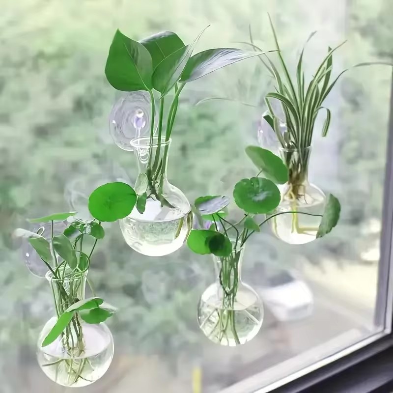 Креативная полукруглая настенн – обзор и цена Aquarium Planted Wall