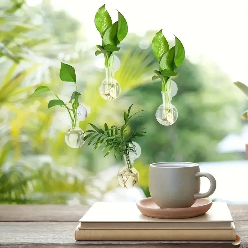 Креативная полукруглая настенн – обзор и цена Aquarium Planted Wall